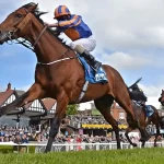 cách cá cược đua ngựa